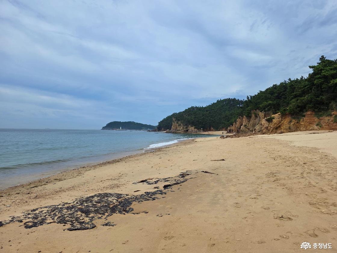 8월 말 찾은 파도리해수욕장은 한적하고 잔잔했다.