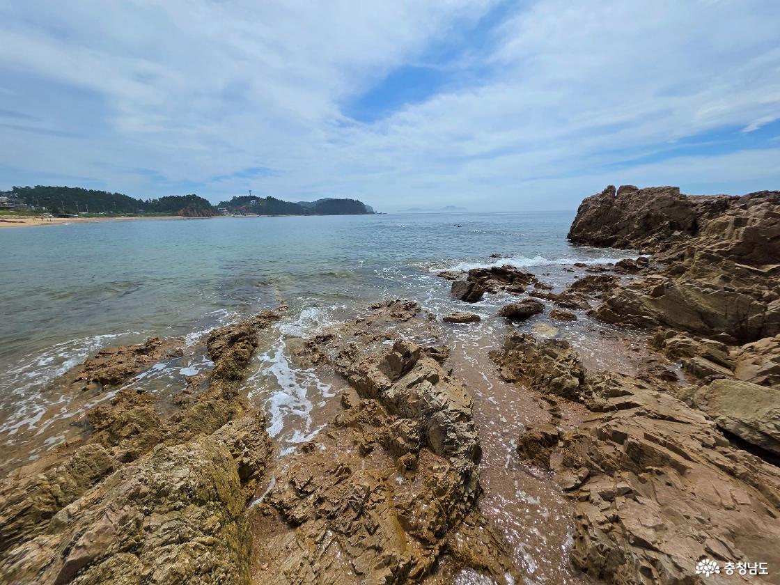 파도리해안에서 밀물 때 드러난 암반지대 풍경이다. 물이 들어오면 걸을 수 있는 구간이 크게 줄어든다.