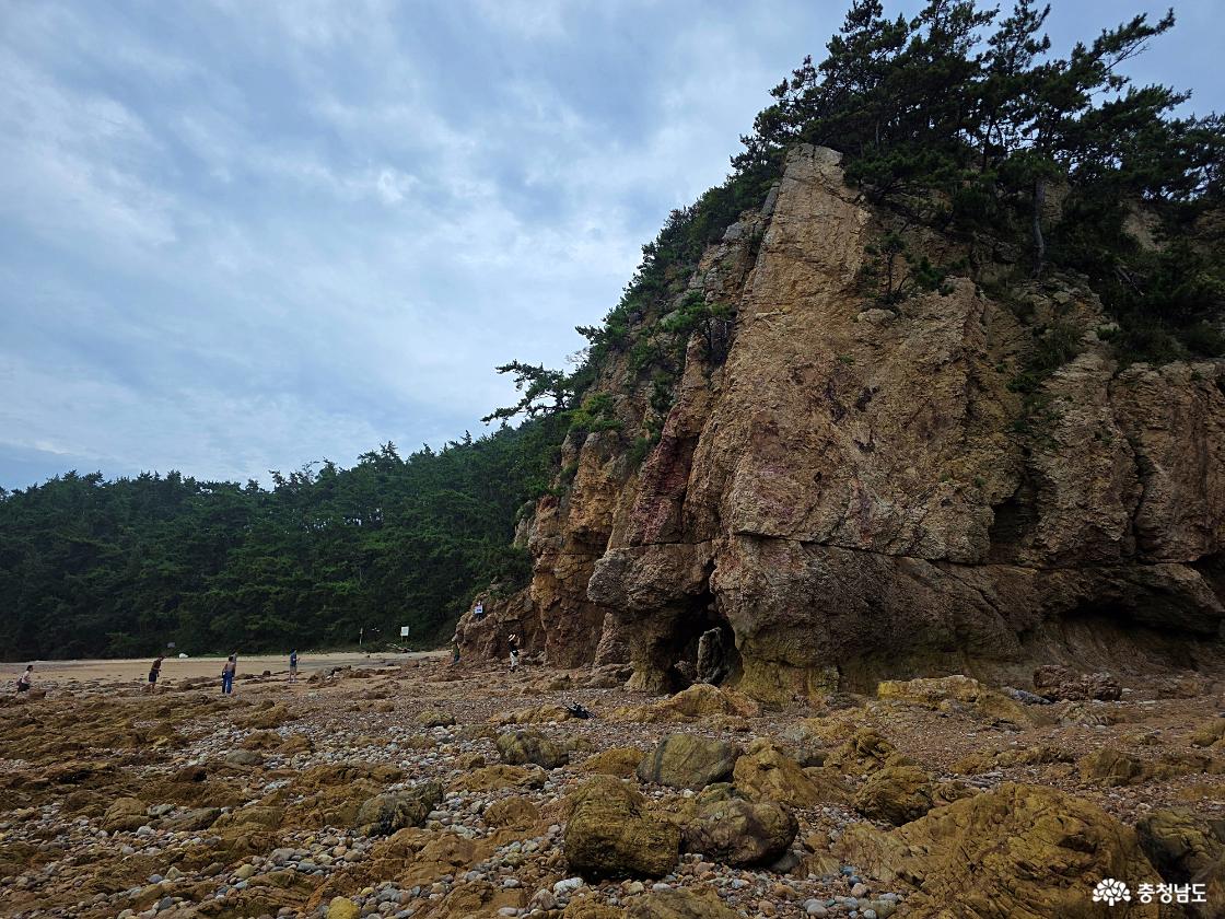 파도리 해식동굴 주변에는 파도의 침식으로 깎인 암벽과 바위지형이 이어진다. 간조 때는 이 구간까지 걸어 들어갈 수 있다.