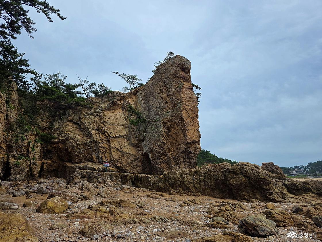 간조 때 파도리 해식동굴 주변 암벽 전경이다. 높고 거친 해안 암벽과 낮은 바위 구간이 함께 이어진다.