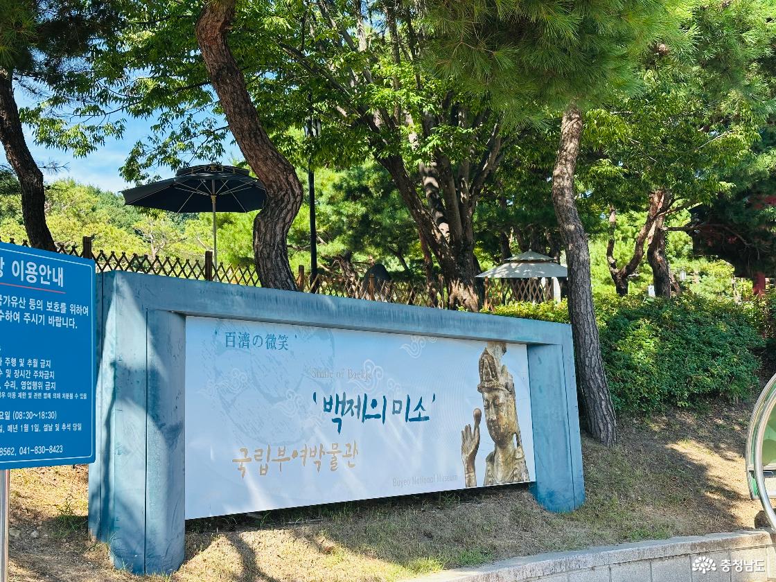백제의 화려함과 검소함이 숨 쉬는 영혼의 안식처, 국립부여박물관으로 떠나는 문화 기행