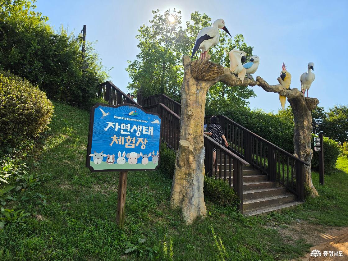 자연생태체험장 입구 계단