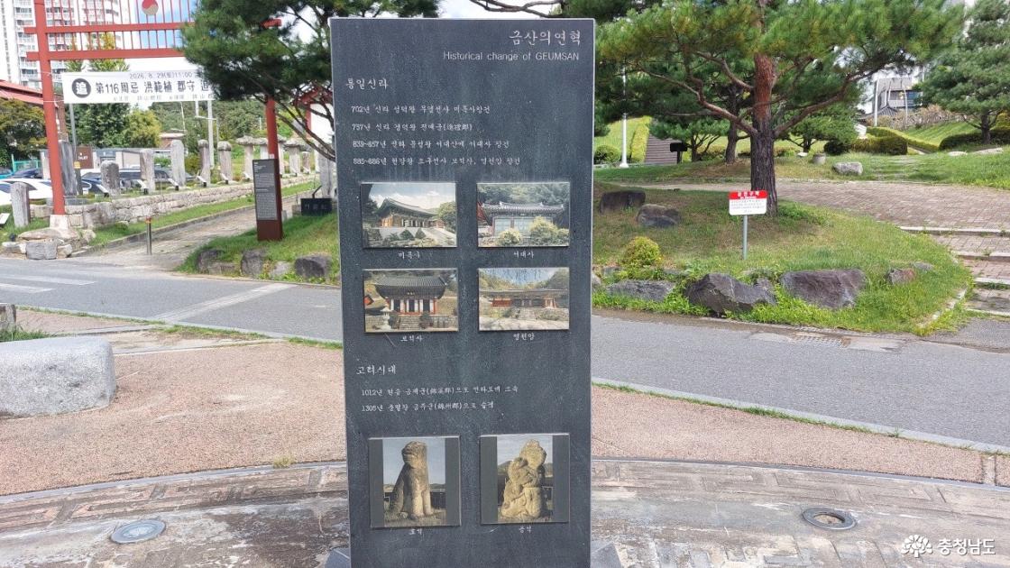 금산의 연혁