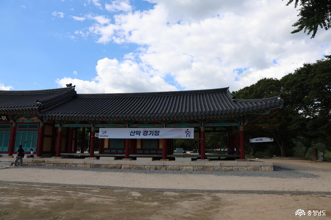 1,100년 은행나무 아래 남겨진 소원, 당진 면천에서 만난 영랑의 효심