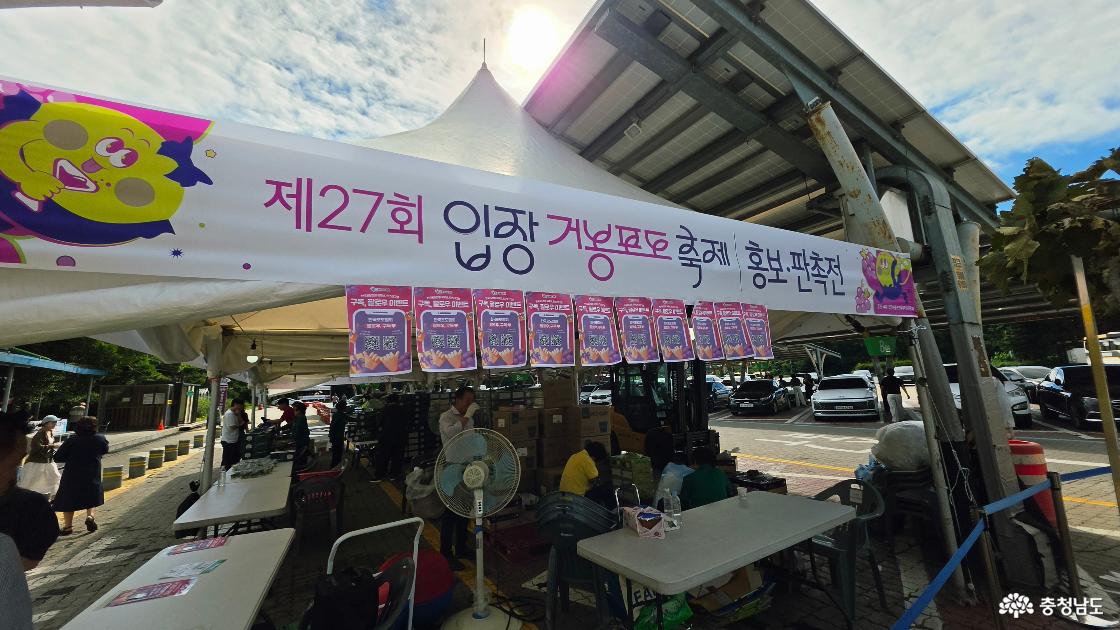 제27회 입장거봉포도축제