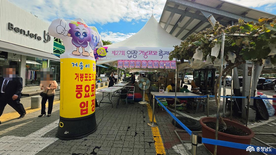 제27회 입장거봉포도축제