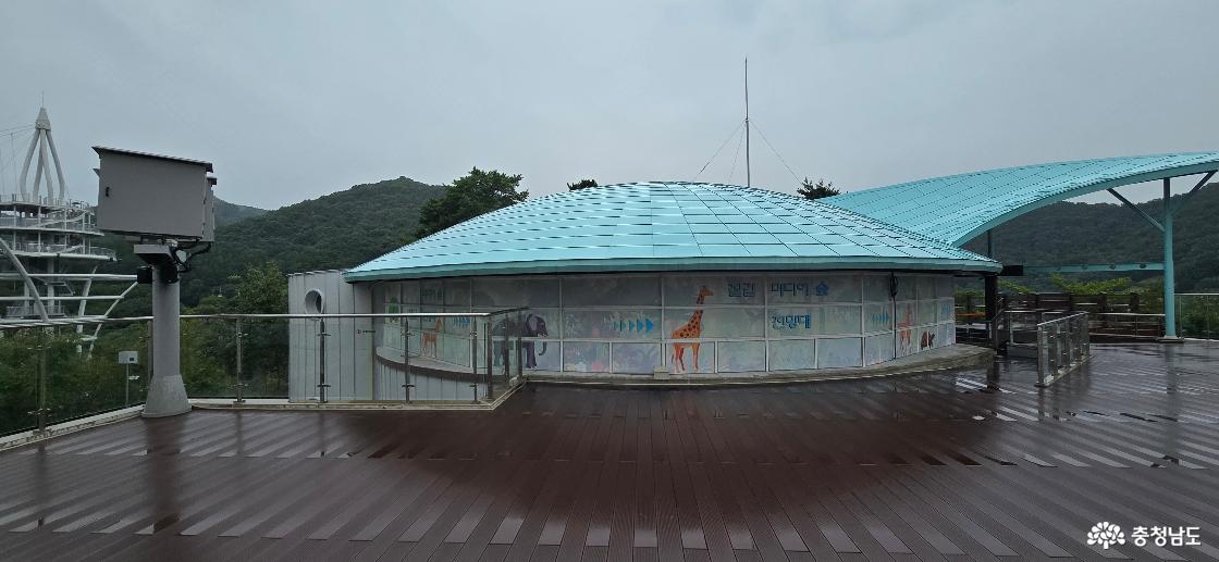 전망대 모습