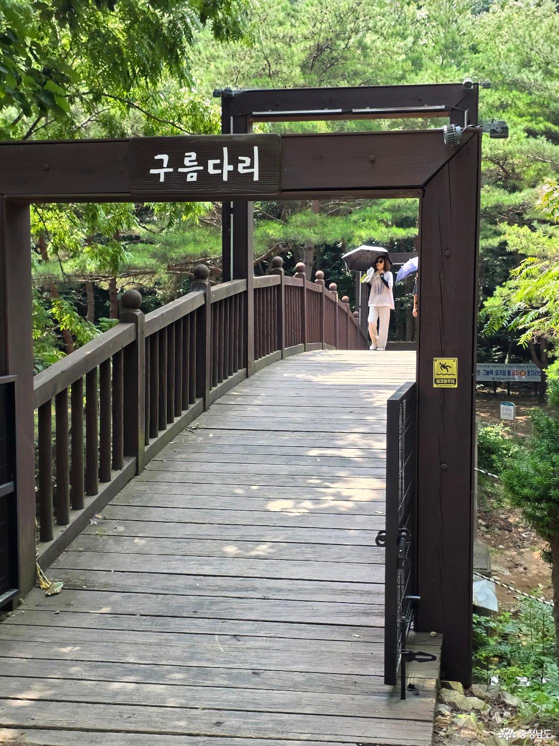 구름다리 산책로