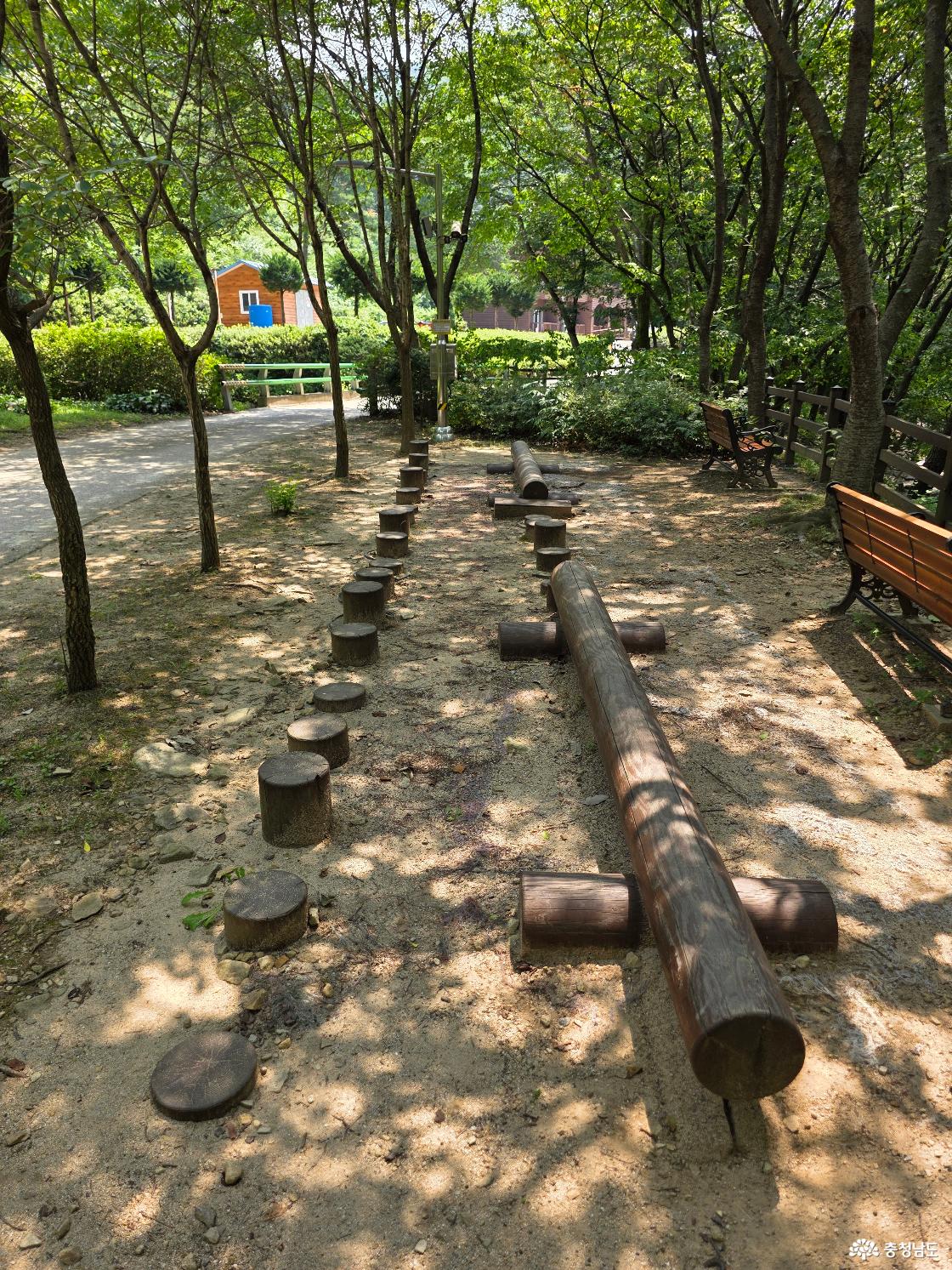 숲속 나무놀이 시설