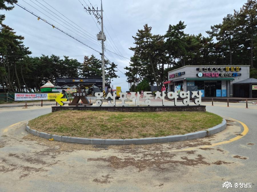 태안 몽산포해수욕장 맛조개 캐기 해루질 물때 준비물 잡는법 후기