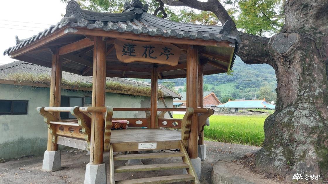 연화정