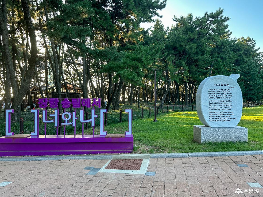 송림동화의 야외 포토존