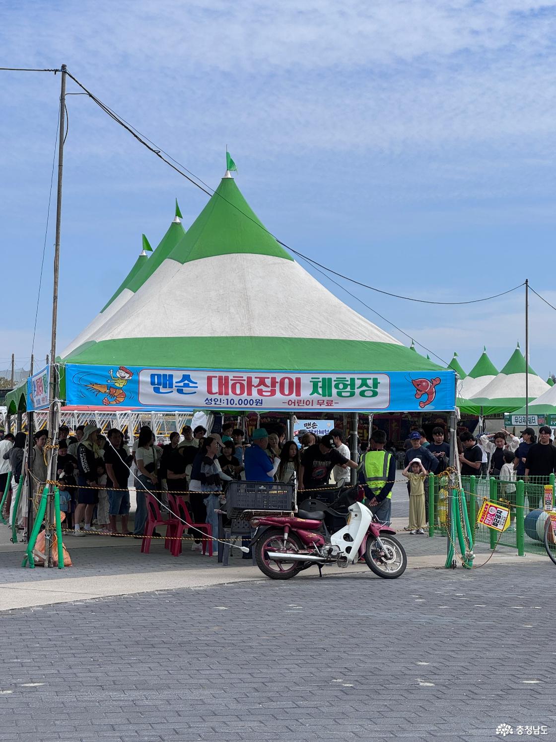 맨손 대하잡이 체험장