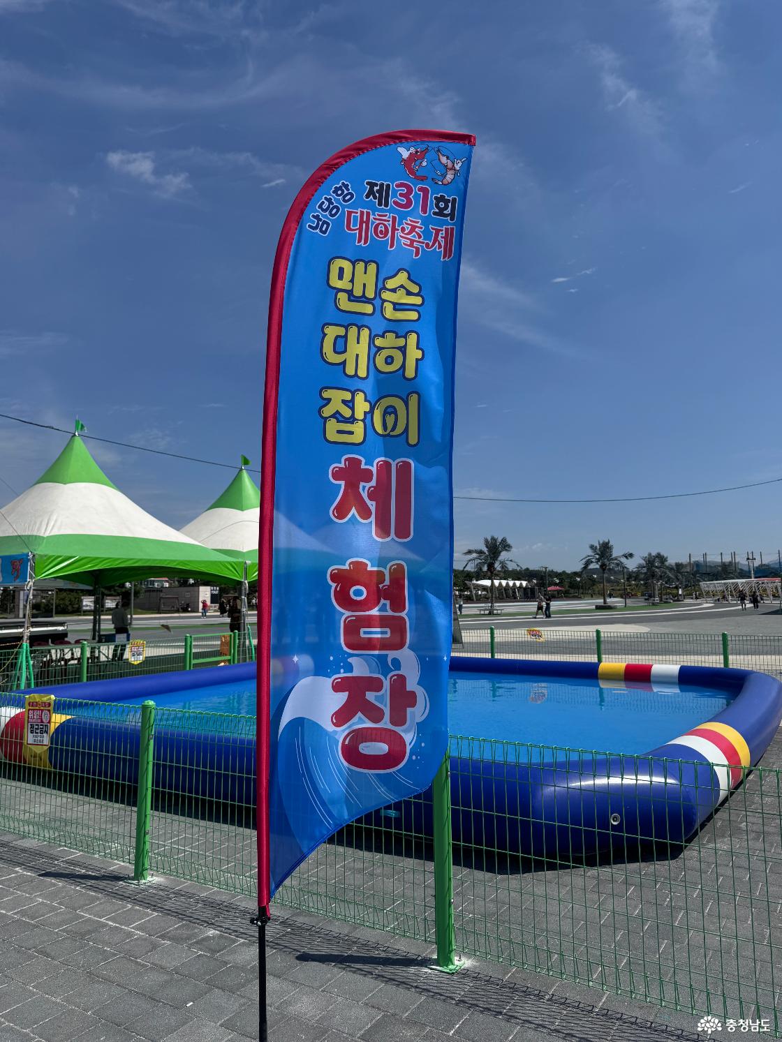 맨손 대하 잡이 체험장