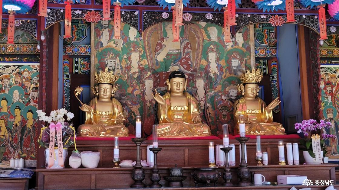 천년고철 충남 예산군 향천사 극락전 목조아미타여래삼존좌상.