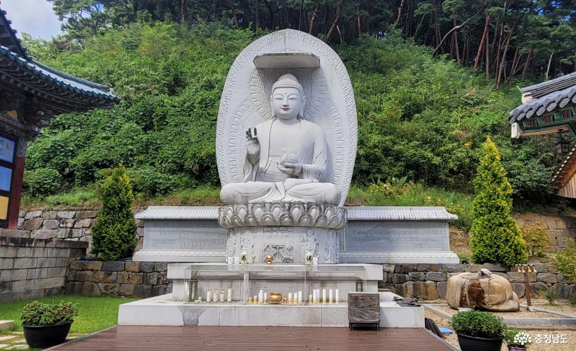 천년고찰 충남 예산 향천사. 석좌불.