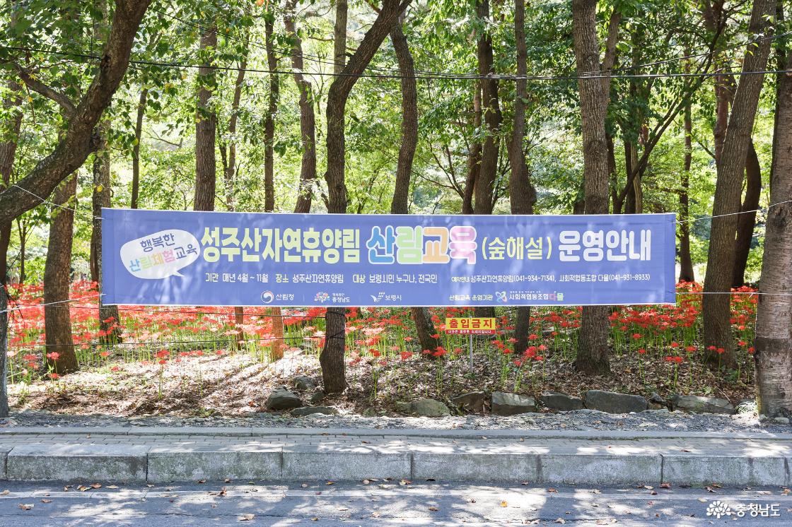 숲해설 안내문