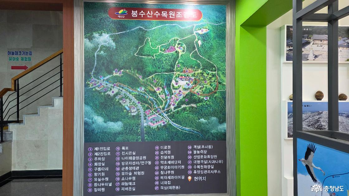 봉수산 수목원 주요 위치를 알 수 있는 조감도의 모습이다.