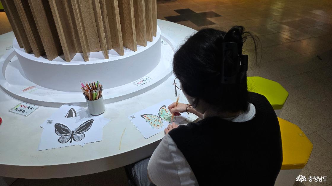 나비 색칠해서 프로젝터에 띄워보기