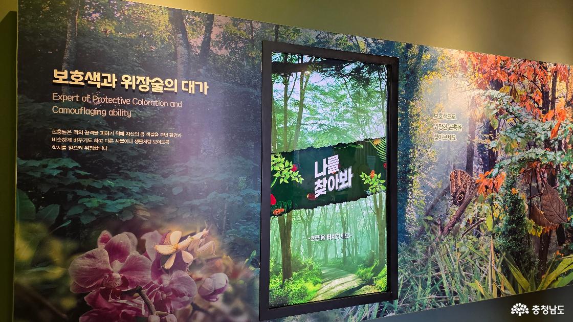 위장술의 곤충 찾아보는 퀴즈