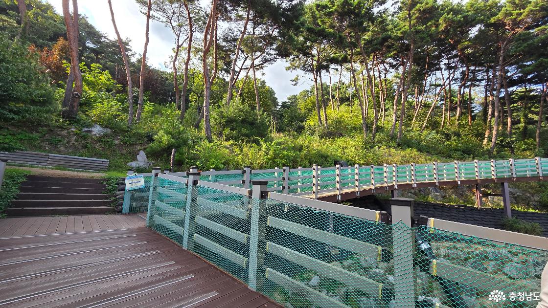 곤충생태관 2층 하늘데크