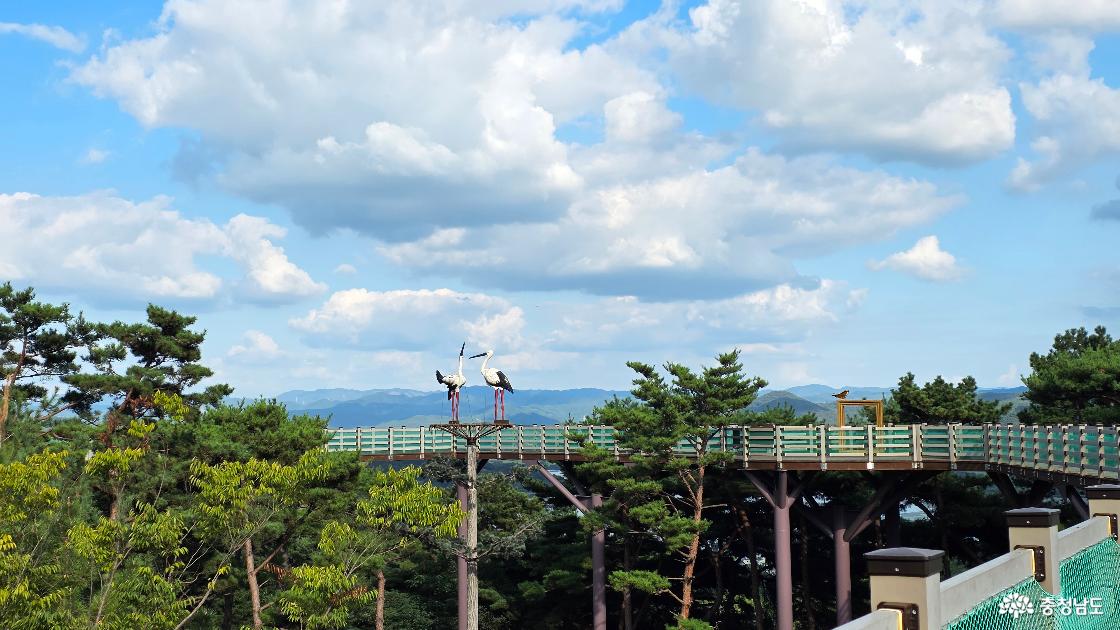 봉수산 수목원 하늘데크