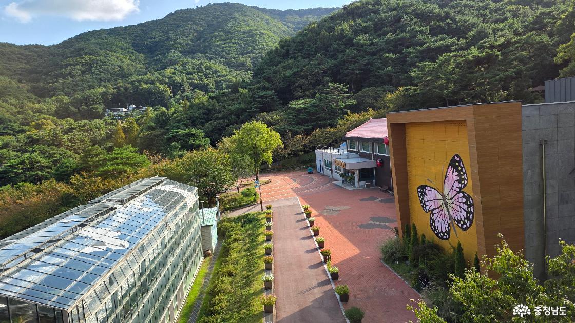 하늘데크에서 바라본 봉수산 수목원 전경