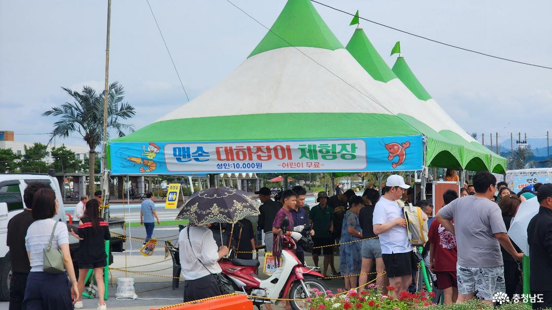 맨손 대하잡이 체험장