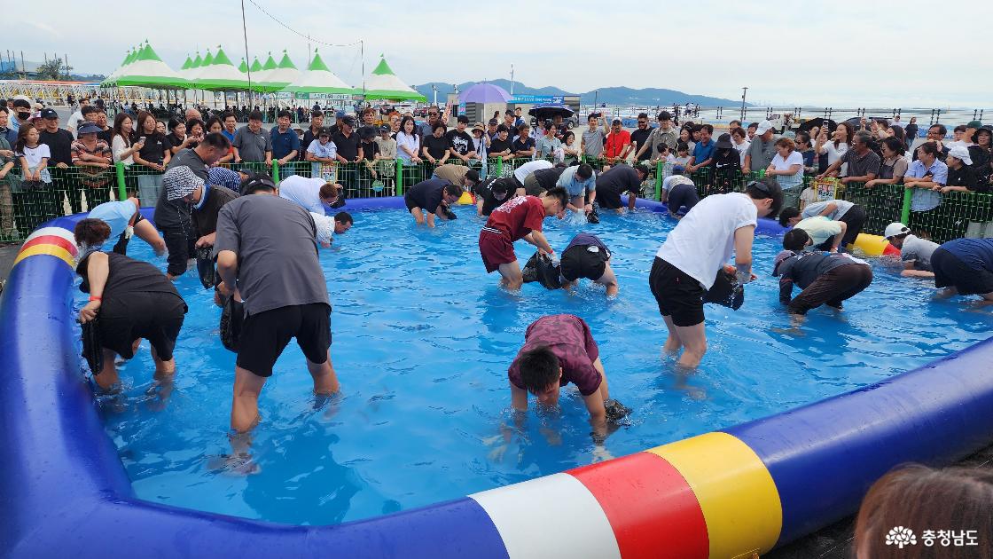 맨손 대하잡이 체험장