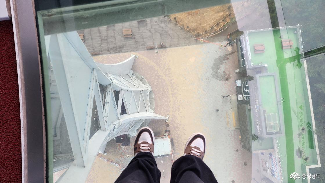 전망층