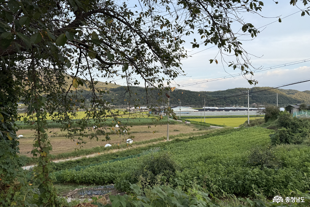 역사문화둘레길과 목천향교