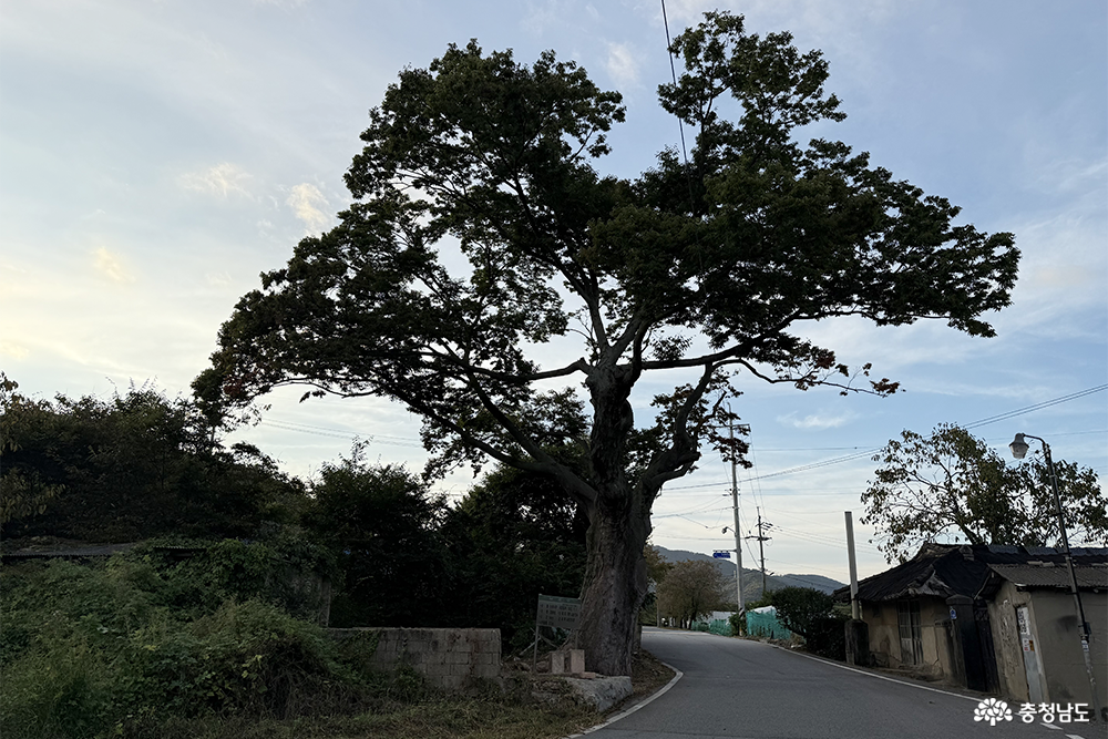역사문화둘레길과 목천향교