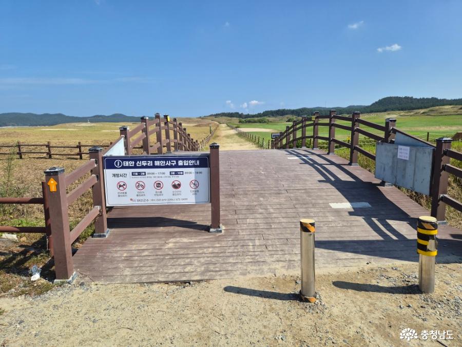 태안 신두리 해안사구 산책 아이와 A코스 혼자 C코스 걸어보니