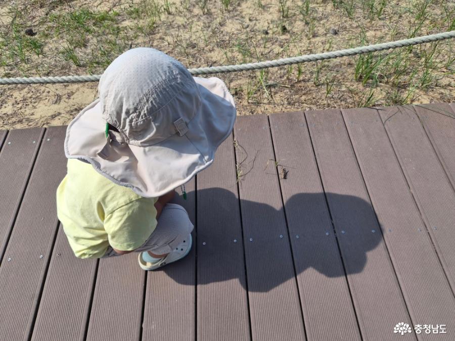 여치를 발견한 아이