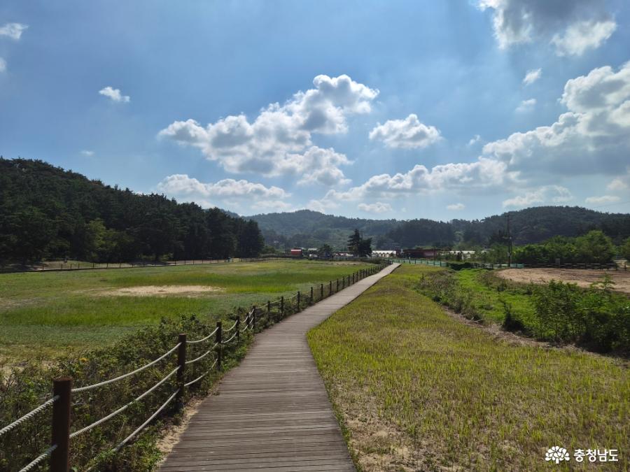 A코스 데크길