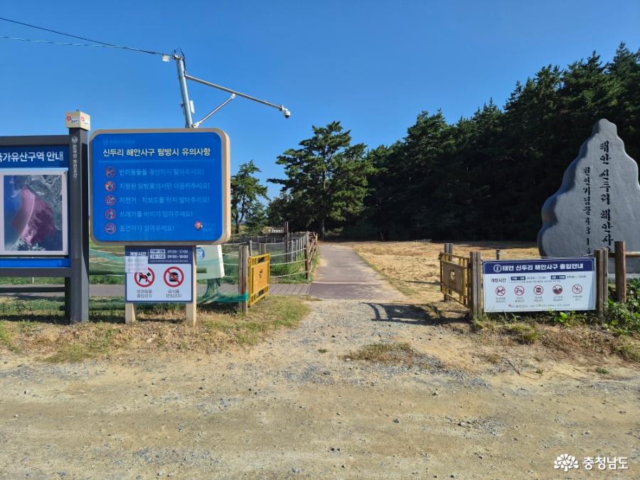 초종용군락지 입구