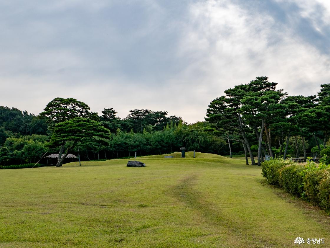 김정희 묘소