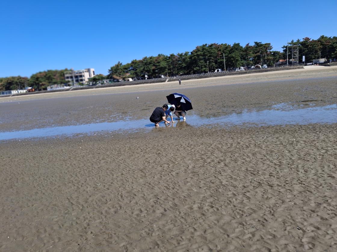 태안7경 몽산 해변에 다녀 왔습니다.