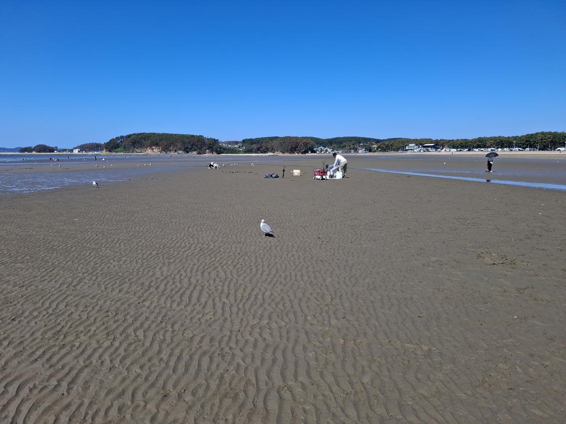 태안7경 몽산 해변에 다녀 왔습니다.
