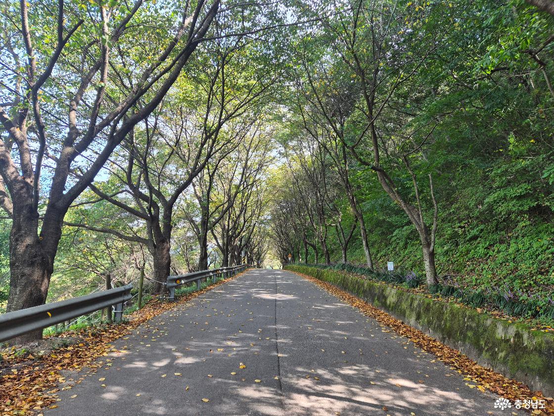 서산 고남저수지