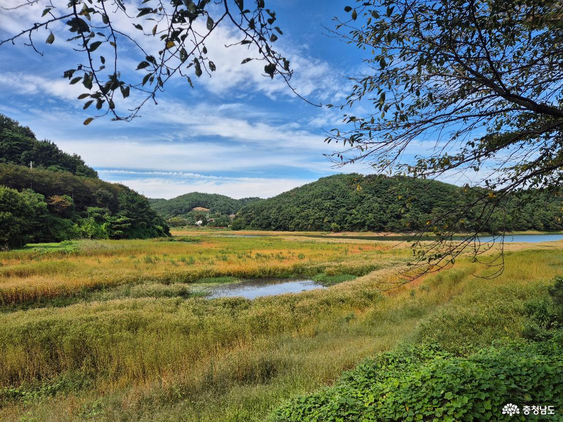 서산 고남저수지
