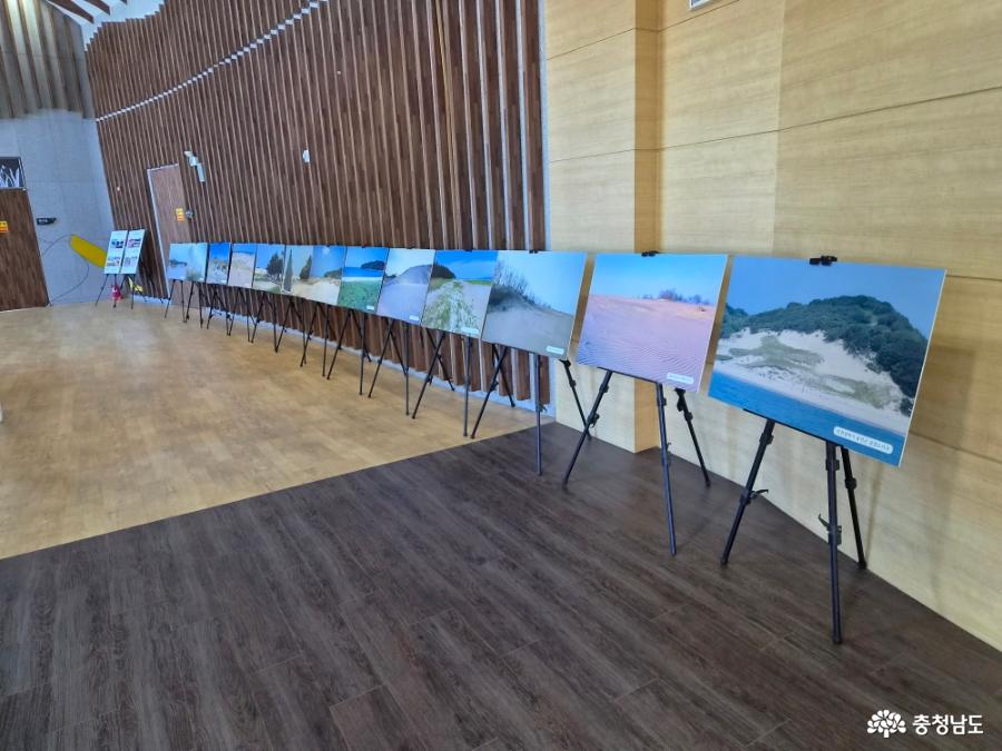 사구 사진전시