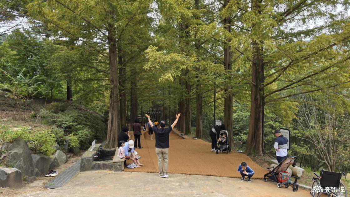 충청민 품으로 돌아온 &lsquo;금강수목원&rsquo; 뜨거운 관심
