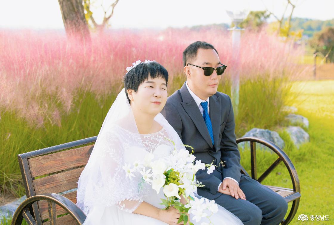 웨딩 차림의 정난희씨(왼쪽·30대)와 정장 차림의 오민석씨(30대)가 핑크뮬리를 배경으로 벤치에 나란히 앉아 촬영하고 있다.