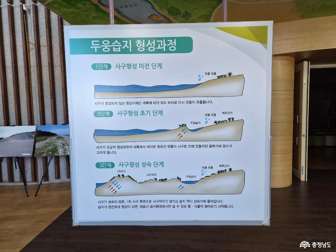 신두리 사구센터 안 두웅습지 설명