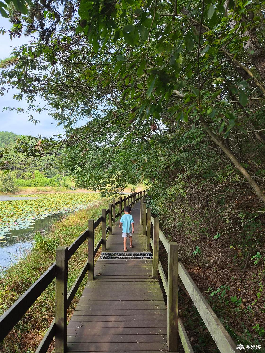 아이와 걷기 좋은 산책로