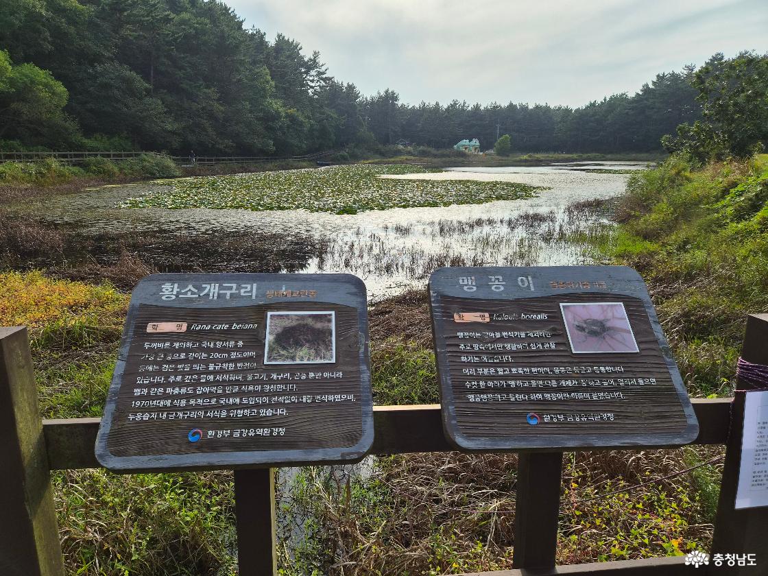개구리 소개 안내판