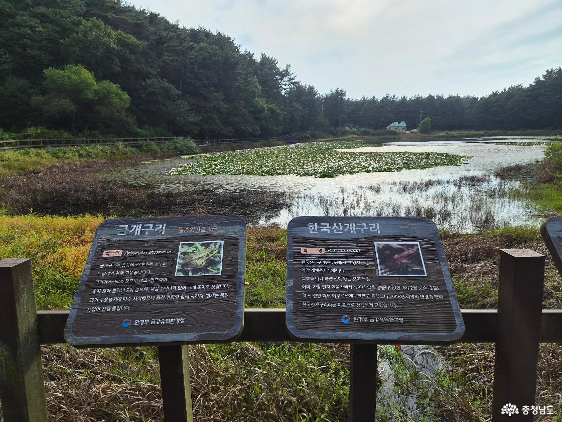 개구리 소개 안내판2