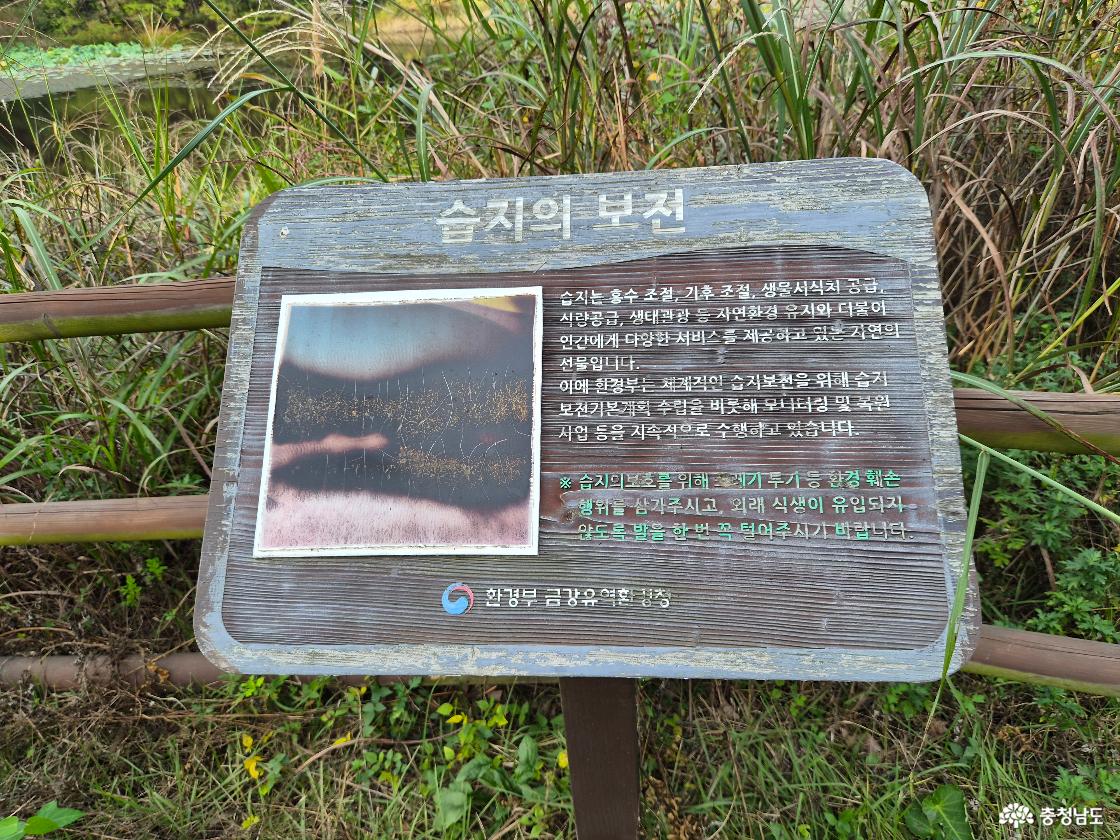 흐릿한 안내판2
