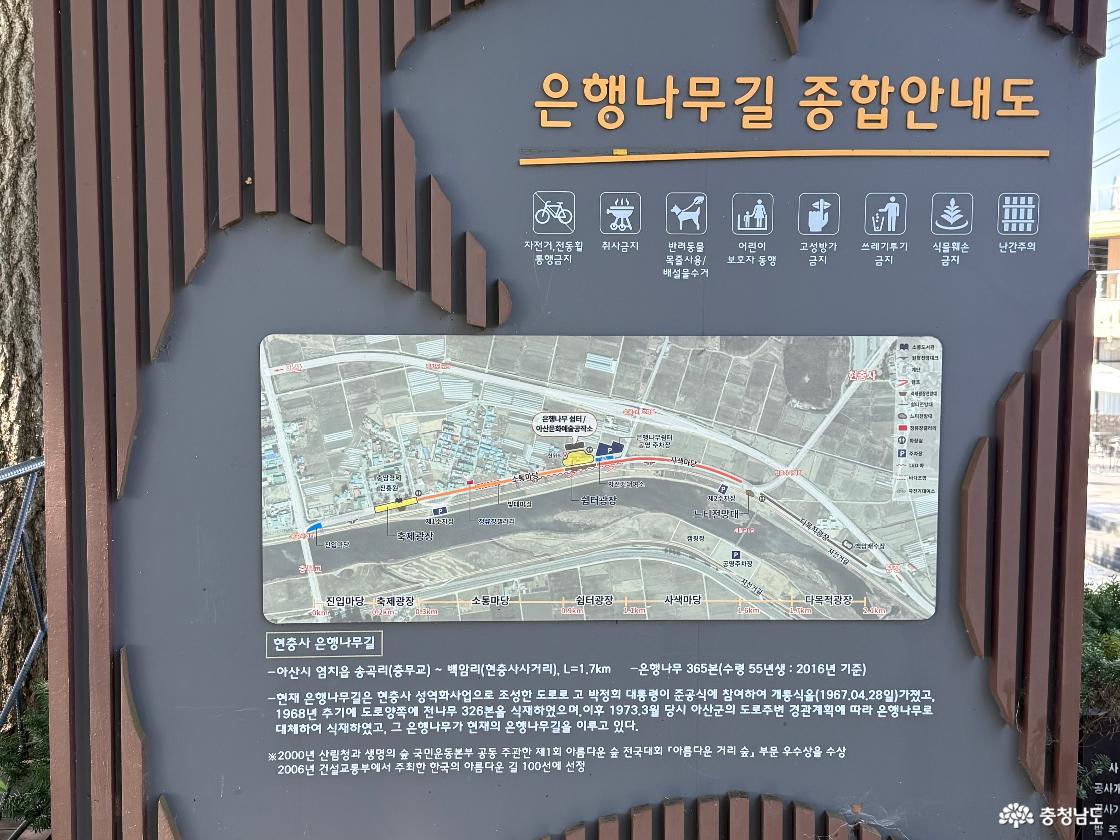 충남 가볼만한곳 아산 곡교천 은행나무길, 댑싸리까지 보고 온 가을 여행지 추천